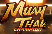 Muay Thai Champion